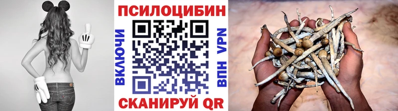 Галлюциногенные грибы мицелий  Купить  Коломна 